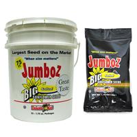 Wholesale Jumbo Team Bucket Sunflower Seeds
