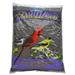 Wholesale Country Blends Black Oil Sunflower Seeds (6/3.5 LB)