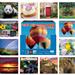 Wholesale 2014 16-Month 12"x11" Wall Calendar 12 Assorted in Counter Display (72/1 CT)