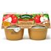 Wholesale Applesnax Applesauce Unsweetened Cinnamon 4oz Cup (12/4 PK)