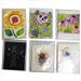 Wholesale American Greetings - Wholesale - Thank You (36/10 CT)