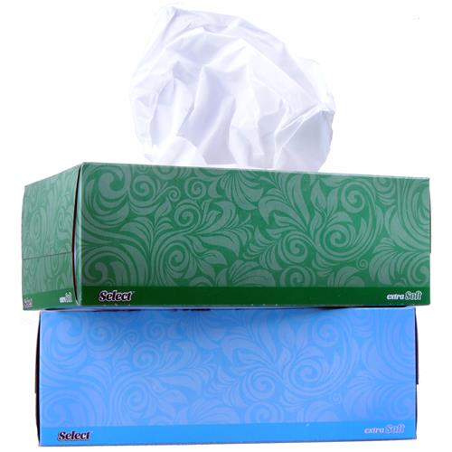 Wholesale Select White Facial Tissue 2 Ply 160 Ct
