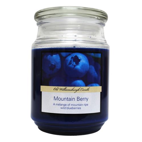 Wholesale Old Williamsburgh Candle Large Apothecary Jar Cand GLW