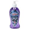 Wholesale 13.5oz BLUEBERRY ANTI BACTERIAL HAND SOAP