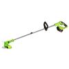 Wholesale 21 VOLT CORDLESS TELESCOPING WEED EATER-TRIMMER KIT WITH ACCESSORIES