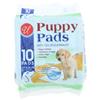 Wholesale PUPPY TRAINING PADS 10CT