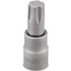 Wholesale ABN 3/8'' DRIVE TORX PLUS SOCKET TP55