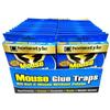 Wholesale 4 Pack Mouse Trap Glue CD