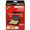 Wholesale D.O.A. Mouse Glue Trays 4 Pack